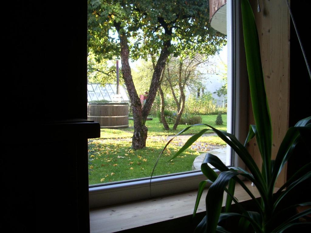 Männi Guesthouse Haapsalu Chambre photo